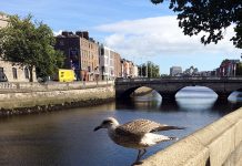 アイルランド〜日本間の宅配便事情