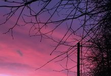 興味のあることにチャレンジして上手にストレス発散