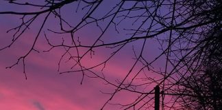 興味のあることにチャレンジして上手にストレス発散