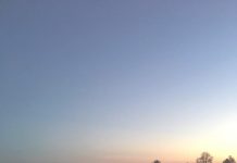 住んでみたい? 世界で1番幸福な国デンマーク