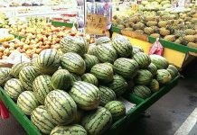 ワーホリに来る前に知っておきたい、台湾の意外な「盲点」