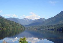 Line? Facebook? それとも? カナダで使われているのは…