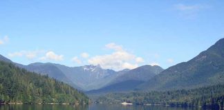 Line? Facebook? それとも? カナダで使われているのは…