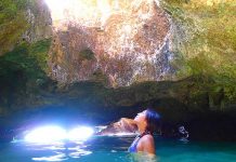 ニュージーランドのワーホリで楽しむ「秘境の旅」