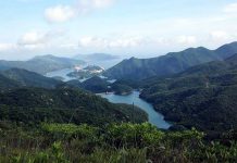 香港では虫と食べ物には気をつけよ!