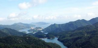 香港では虫と食べ物には気をつけよ!