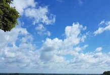 貧困、格差がない「世界で一番幸せな国」と言われるデンマークは真実か?