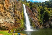 アナタは都会派?それとも田舎派?@NZ