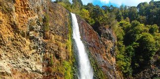 アナタは都会派?それとも田舎派?@NZ