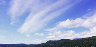 とっても短いけれど、カナダの夏をしっかり楽しもう!