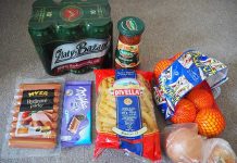 スロバキアでワーキングホリデーをするメリットは生活費の安さ