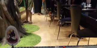 イギリスにワーホリ(YMS)する魅力4選!