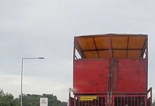 持ち寄りパーティの時には寿司を期待されている・デンマーク