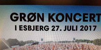 夏を楽しむ! デンマークのフェスティバル!!