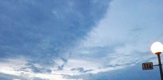 かけがえのない豊かな時間・ドイツでのワーホリを振り返って