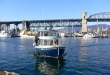 西洋医学だけじゃない、バンクーバーの医療システムとは