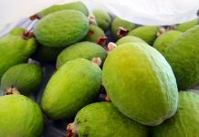 コツはまとめ買い NZの節約術