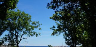 ノルウェーのワーホリなら、やっぱりオスロ!