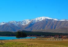 ニュージーランド 北島・南島それぞれの特徴とは?