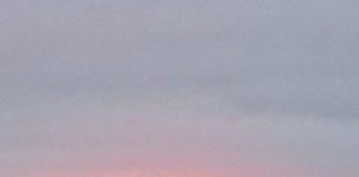 型にはまらず、失敗しても再度チャレンジできるデンマーク社会