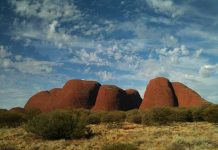 オーストラリアのアボリジニとニュージーランドのマオリ族