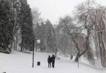 ポーランドの冬はとにかく寒い!日本の冬物では物足りない