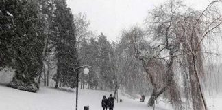 ポーランドの冬はとにかく寒い!日本の冬物では物足りない