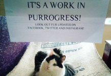 イギリスのワーキングホリデーでできるアルバイトは?