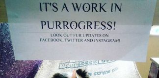 イギリスのワーキングホリデーでできるアルバイトは?