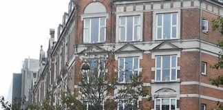 デンマークに住んでからはじめたこと