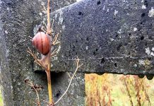 アイルランドの危険地域から身を守るために知っておくべきこと