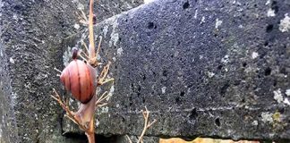 アイルランドの危険地域から身を守るために知っておくべきこと