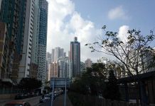 ワーホリで稼ぐ! 香港で稼ぐ!!