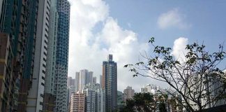 ワーホリで稼ぐ! 香港で稼ぐ!!