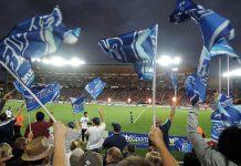 ニュージーランドの国民的スポーツと言えばこれ!