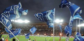 ニュージーランドの国民的スポーツと言えばこれ!