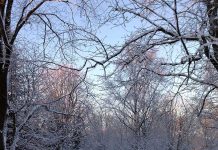 ノルウェーの国民的スポーツといえば、やはりアレですよね!