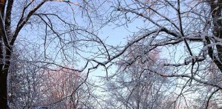 ノルウェーの国民的スポーツといえば、やはりアレですよね!