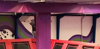 デンマークの「国民的スポーツ」を知っていますか?