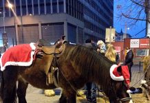 ノルウェーで過ごすクリスマスを紹介します!