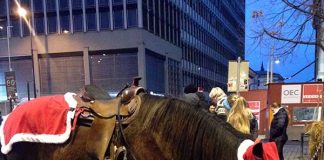 ノルウェーで過ごすクリスマスを紹介します!