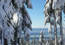 カナダのお正月は大したイベントもなく、あっけなく過ぎますが・・・