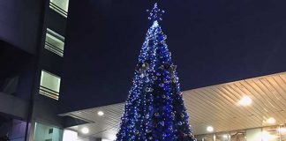 台湾人から見た日本のクリスマスで不思議に思うこと