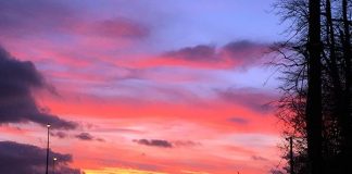 クリスマスより盛り上がらないけれど、ほぼ同じような経過をたどるアイルランドのお正月