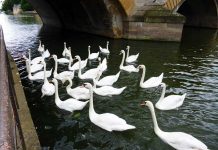 フランスに来て、一番変わってしまったことは「人間関係」。 でも、勇気を持って、人の輪に入っていこう!