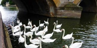 フランスに来て、一番変わってしまったことは「人間関係」。 でも、勇気を持って、人の輪に入っていこう!