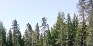 カナダはアウトドア天国!