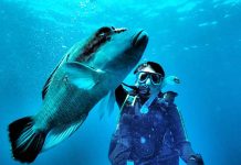 オーストラリアといったらやっぱりここでしょう!