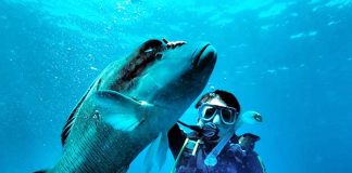 オーストラリアといったらやっぱりここでしょう!