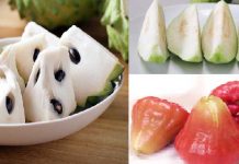 フルーツ天国・台湾!!